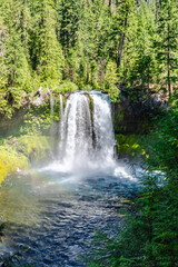Fototapeta na wymiar Oregon waterfall 