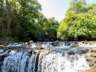 Sunny view of the landscape of Prairie Creek Park