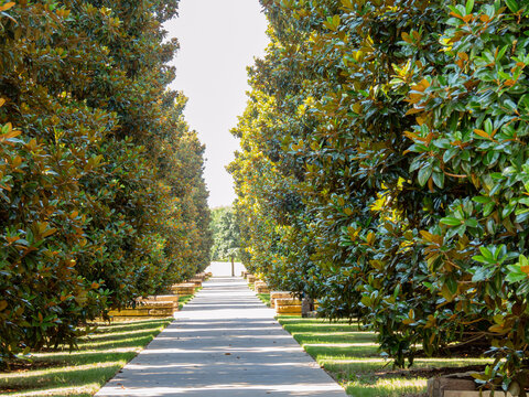 Sunny view of the campus of The University of Texas at Dallas