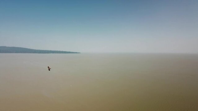 View of Lake Tana, Ethiopia from a drone. Birds fly by.