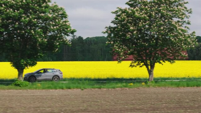 Grey car drives along road lined with canola field and large bushy trees