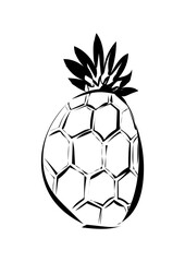 Obraz premium Ananas 