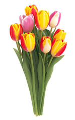 bunch of tulips isolated on a transparent background
