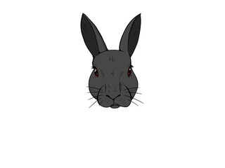 black rabbit