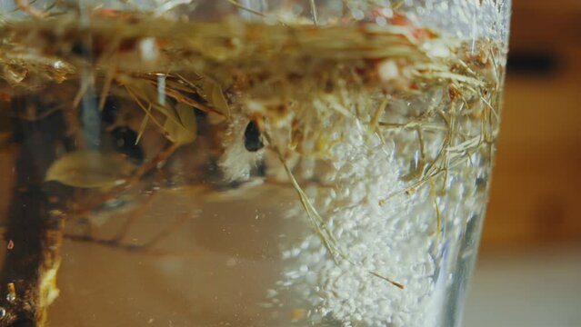 Close up shot, pouring distilled gin into a glass bottle with aromatic dried spice herbs 