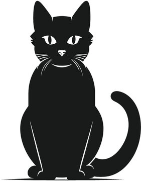 Black and white cat sitting