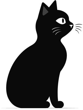 Black and white cat sideways
