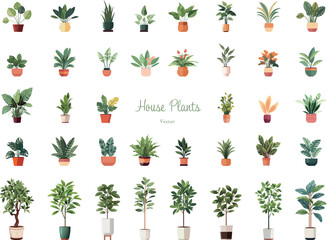 観葉植物のイラストセット