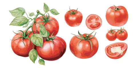Fotobehang watercolor tomato clipart for graphic resources © Dgillustration12u
