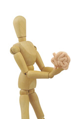Wooden mannequin holding small intestine isolated on white background.