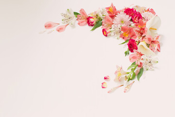 alstroemeria flowers on white  background