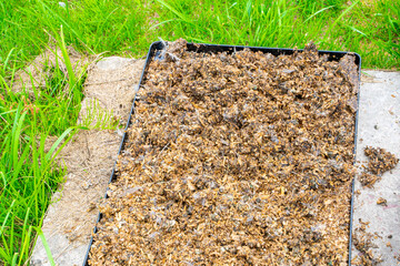 Bird droppings with sawdust are dried on the street. Natural fertilizer for garden soil