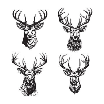 Deer head hand drawn vector set
