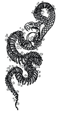 Tattoo art snake remains but the skeleton drawing and sketch