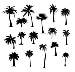 set of silhouettes of palm trees on isolated background - obrazy, fototapety, plakaty