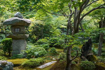 圓光寺の十牛之庭