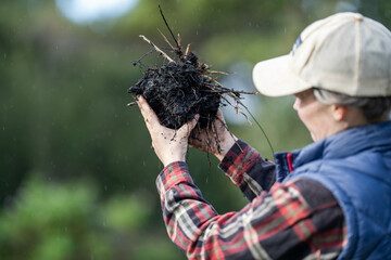 Female farmer hold soil in hands monitoring soil health on a farm