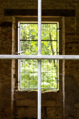Metallgitter im Vordergrund. dunkles Fenster und Gün im hintergrund