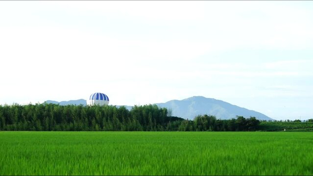 田園地帯を飛行する熱気球 （滋賀県彦根市, 2023年8月）