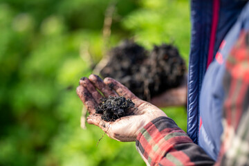 regenerative organic female farmer, taking soil samples and looking at plant growth in a farm. practicing sustainable agriculture