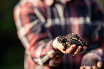regenerative organic female farmer, taking soil samples and looking at plant growth in a farm. practicing sustainable agriculture