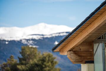 Trees in the foreground and view of snow-capped mountains in the background