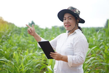 Asian woman farmer wears hat, white shirt, holds smart tablet to inspect growth and diseases of plants at maize garden.Concept. Agriculture occupation, survey and research to develope crops quality.  