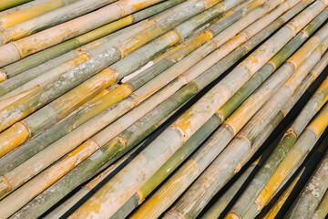 Bamboo building materials for construction
