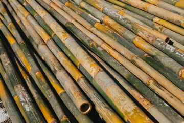Large bamboo for close-up construction