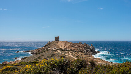 Fototapeta na wymiar genoese tower protecting the corsican coast surronded by sea and under a large blue sky