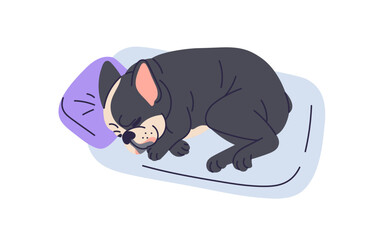 Cute dog sleeping, lying on pet bed. Funny sweet puppy asleep. Adorable doggy of French bulldog breed, dreaming on pillow, canine animal cushion. Flat vector illustration isolated on white background