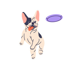 Cute dog playing, running and catching frisbee disc. Funny active puppy, French bulldog jumping for flying disk, canine animal toy. Flat graphic vector illustration isolated on white background