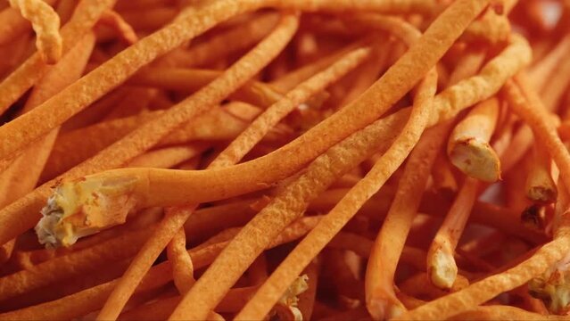 High quality promotional video featuring a close-up of cordyceps. With anti-aging effects, cordyceps is used in many beauty products. Pharmacology in the treatment of diseases. Healthy concept.