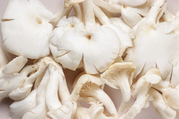 White Oyster Mushroom Ready to Cook in the Kitchen