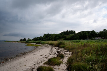 Fototapeta na wymiar Küstenstreifen am Fjord im trüben Wetter
