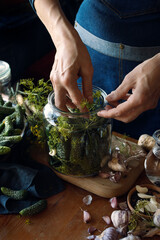 Person preparing cucumbers for pickling, fermentation in brine with the addition of dill flowers, garlic cloves and horseradish in a glass jar, close-up view - 634611496