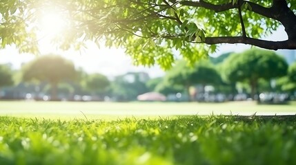 Generative AI : Blur park garden tree in nature background, blurry green bokeh light outdoor in summer background - obrazy, fototapety, plakaty