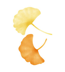 Ginkgo leaves
