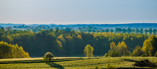 Early autumn panorama of field and forest with autumn foliage