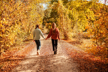 Portrait of a beautiful woman  hold the fall leaves and resting in the park. The happy girl wearing...