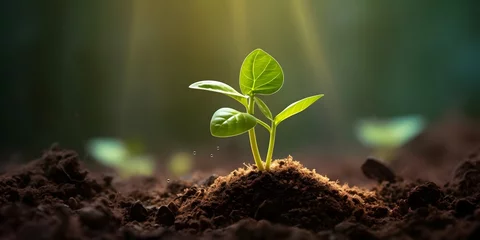 Fototapeten young plant in soil, AI Generative © Lucky Ai