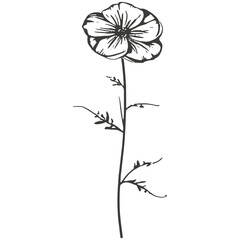 Minimalist chamomile flower tattoo design, lines, minimal, black and white, white background.