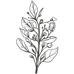 Minimalist chamomile flower tattoo design, lines, minimal, black and white, white background.