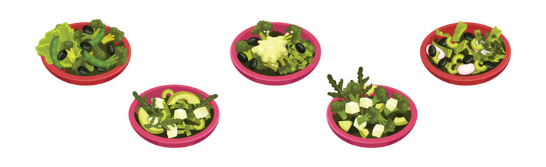 Fresh Green Salad with Vegetables and Herbs in Bowls Vector Set