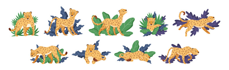 Spotted Leopard or Jaguar with Yellow Skin Among Tropical Leaves Vector Set