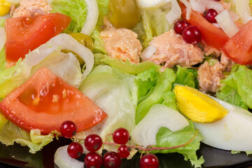 Lettuce salad with tuna, eggs and vegetables, fragment close-up