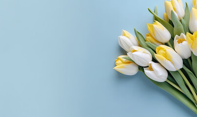 Wallpaper with yellow tulips. Flower on blue background. For banner, postcard, book illustration, products display presentation. Created with generative AI tools