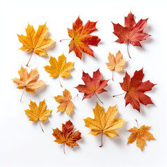Maple leaves in different size and colors isolated on white background. Created with Generative AI technology.