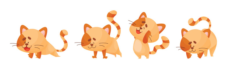 Ginger Cat with Striped Tail Doing Yoga Standing in Asana Vector Set