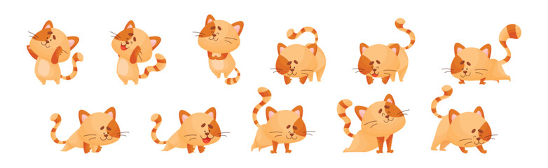 Ginger Cat with Striped Tail Doing Yoga Standing in Asana Vector Set